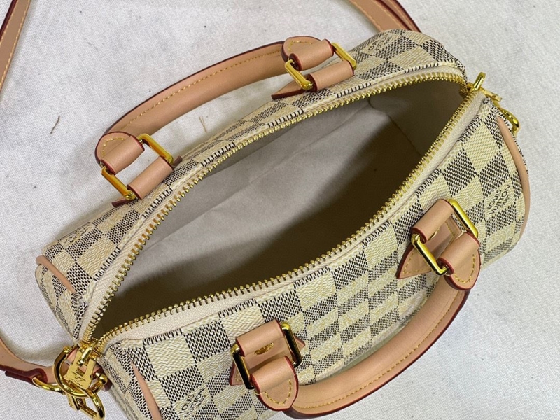 LV Speedy Bags